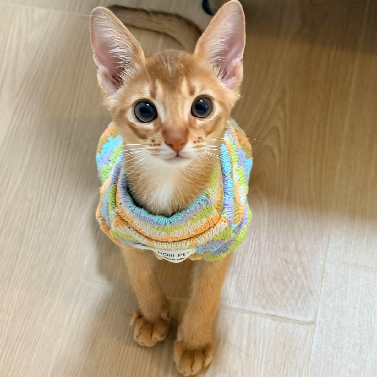 Thickened Warm Striped Sweater Vest Two Legs - ProPawPet.com