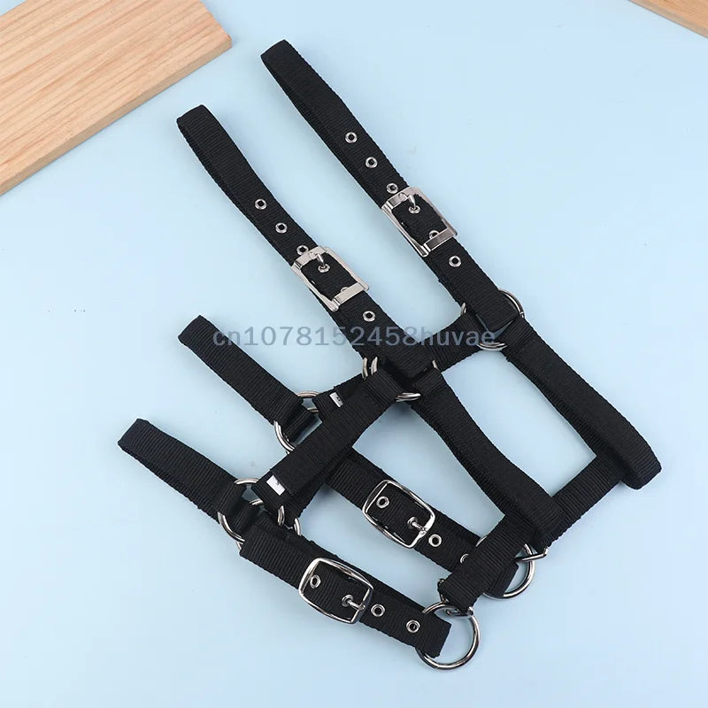 1 Pc Adjustable Nylon Webbing Equestrian - ProPawPet.com