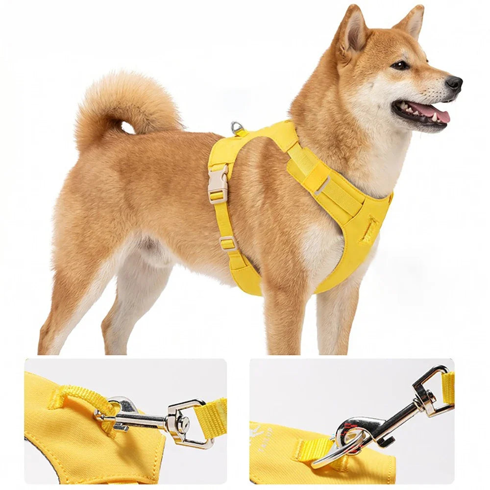 Lightweight Dog Harness & Leash Set - ProPawPet.com