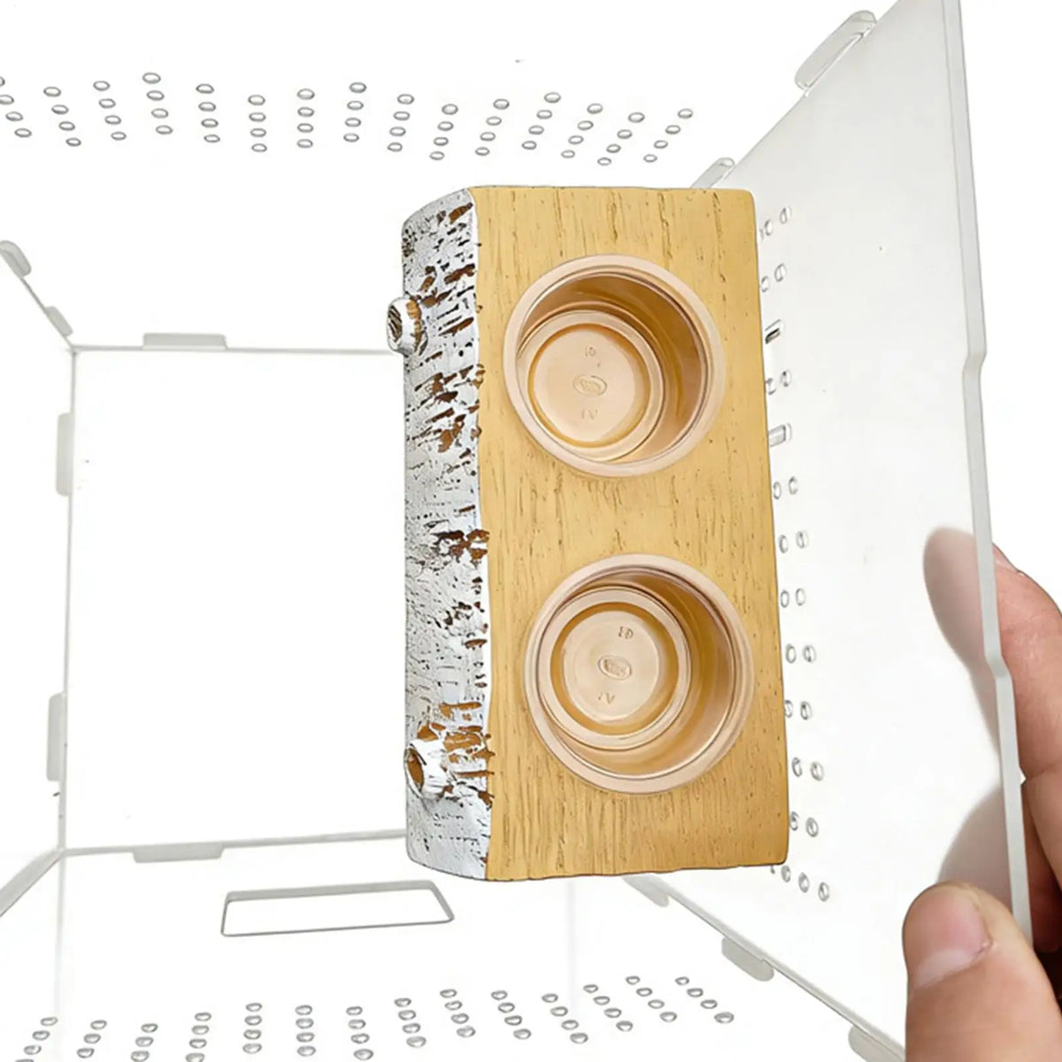 Magnetic Gecko Feeding Ledge Magnetic Food - ProPawPet.com