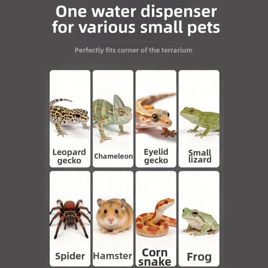 New Automatic Reptile Water Dish Multi-size - ProPawPet.com