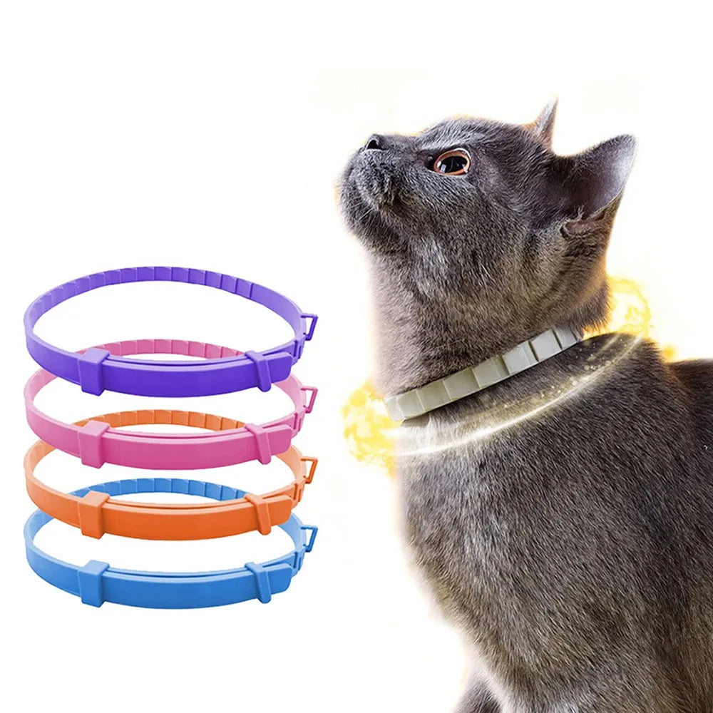 VIP Dog Collar Puppy Cat Plastic Collar for - ProPawPet.com