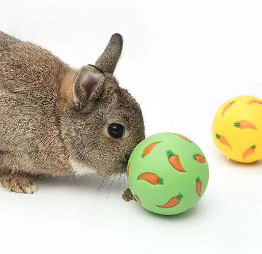 1pcs Rabbit Treat Ball Pet Slow Feeder - ProPawPet.com