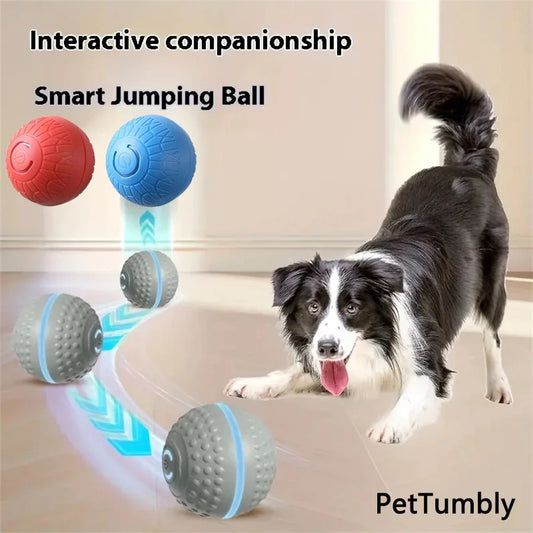 Smart Dog Toy Ball Automatic Interactive Pet - ProPawPet.com