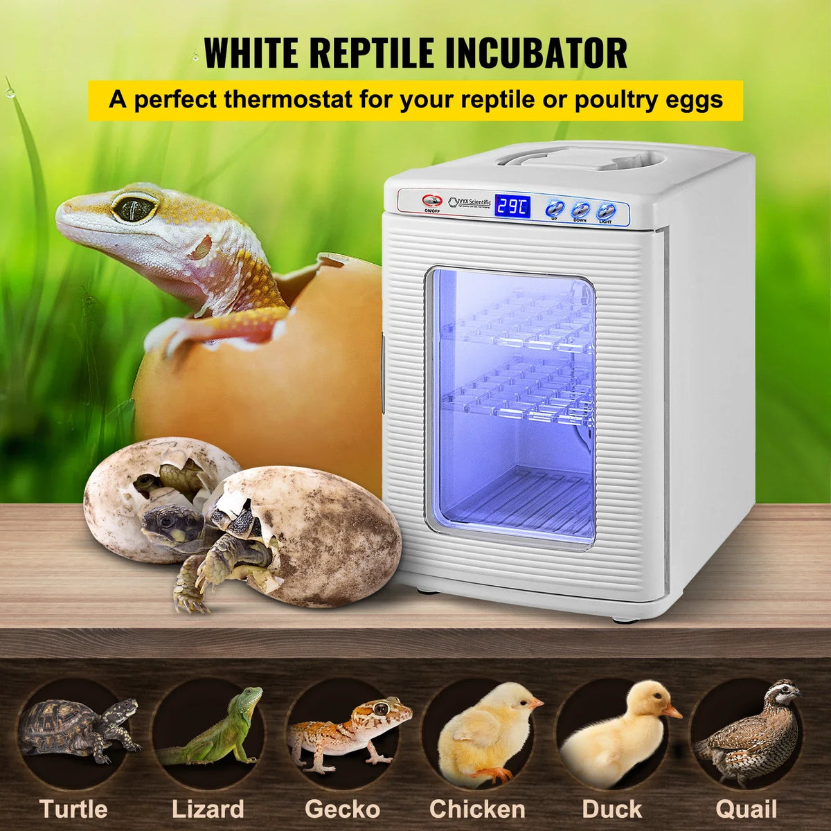 SucceBuy 25L Reptile Incubator Scientific - ProPawPet.com