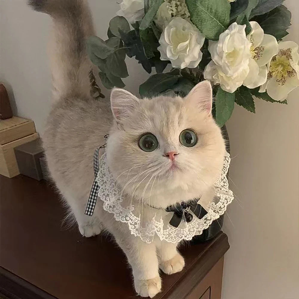 Cat Bow Tie Cute Bell Drool Bib Princess - ProPawPet.com