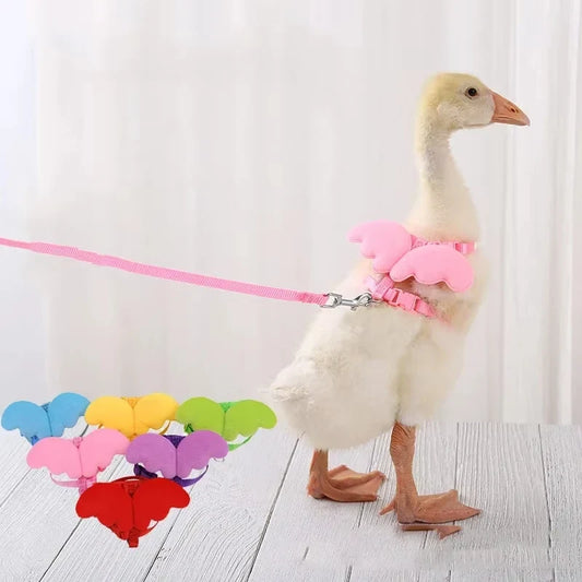 Cute Wing Duck Leash Pet Cat Harness Safety - ProPawPet.com