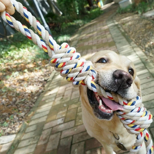 45CM Pets Toys Bite Molar Tooth rope dog toy - ProPawPet.com