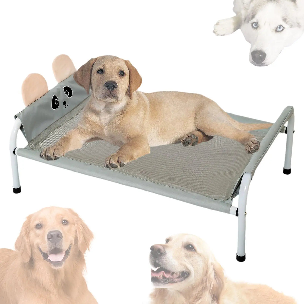 Elevated Pet Bed, Comfortable and Durable, - ProPawPet.com