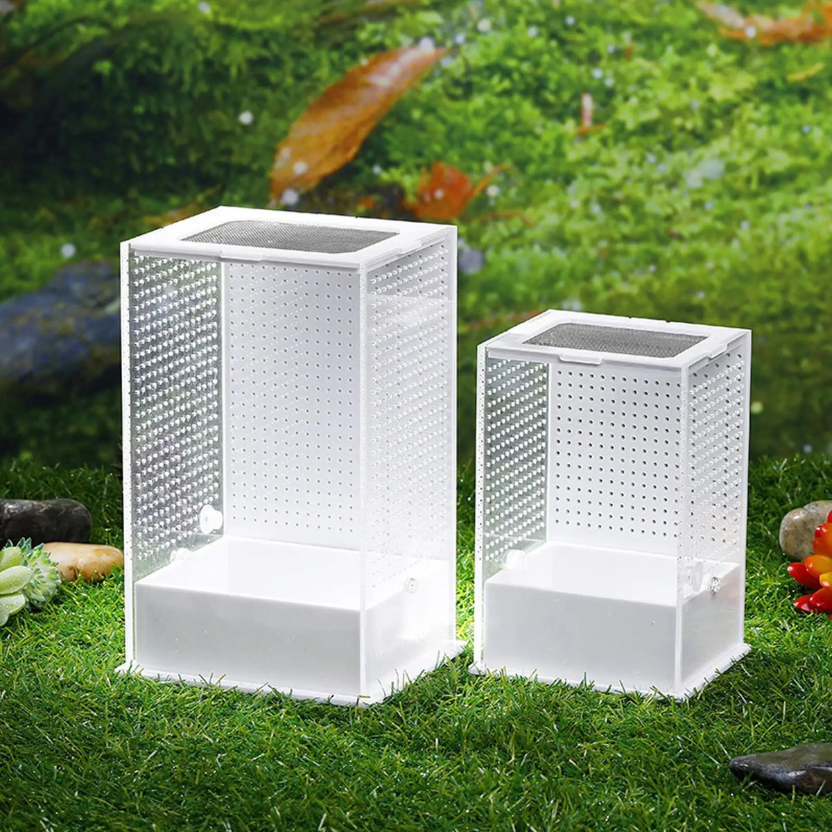 Reptile Acrylic Enclosure High Transparency - ProPawPet.com