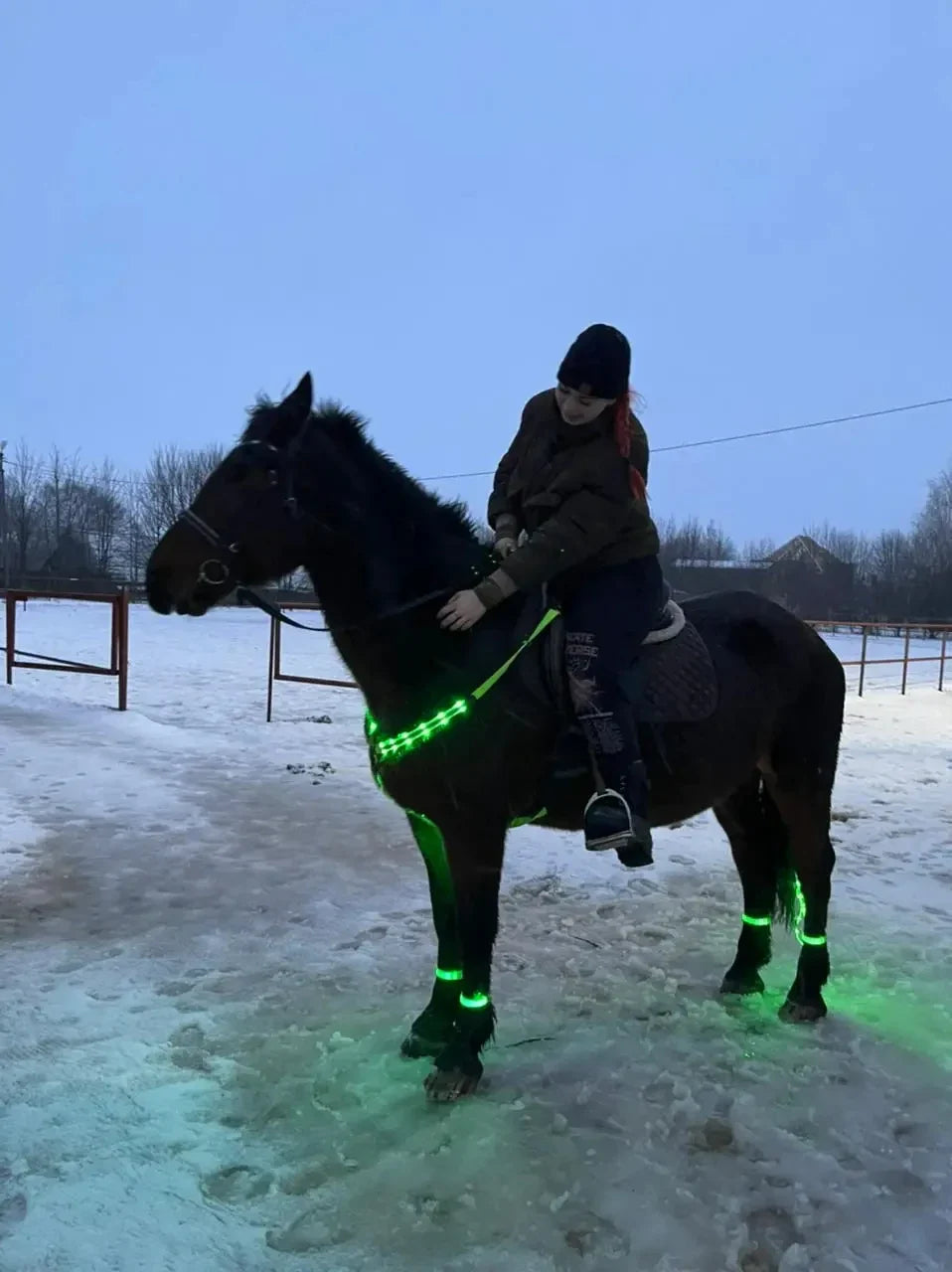 LED Horse Harness Nylon Night Visible Horse - ProPawPet.com