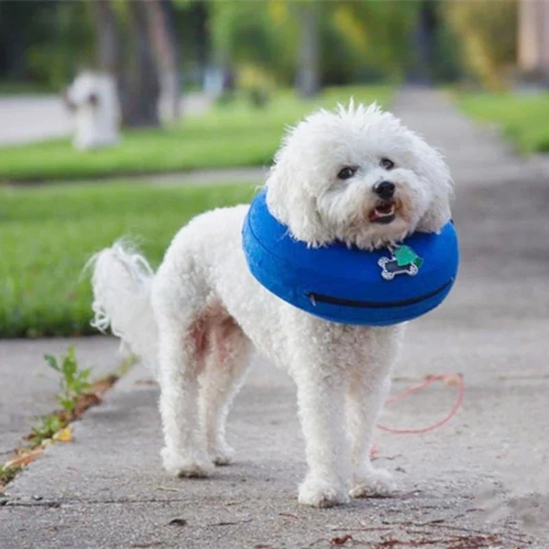 Soft Inflatable Pet Warm Cone Collar - ProPawPet.com