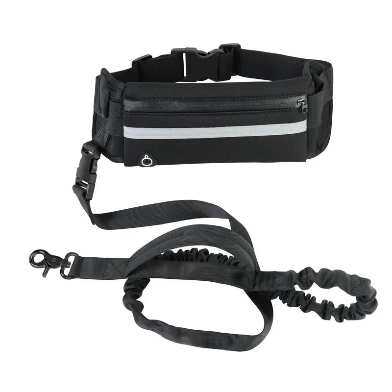 Personalized Dog Walking Collar Free Hands Leather Reflective, Adjustable