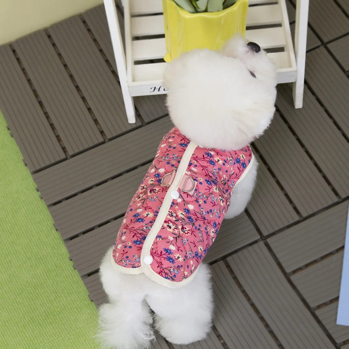 Puppy Floral Vest Pet Clothing Dog Fleece - ProPawPet.com