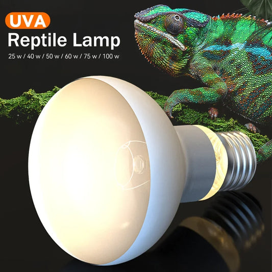 Reptile Heating Lamp 220V Heater Bulb - ProPawPet.com
