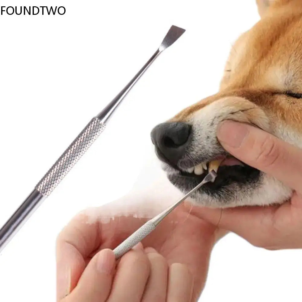 Pet Teeth Cleaning Tool Stainless Steel - ProPawPet.com