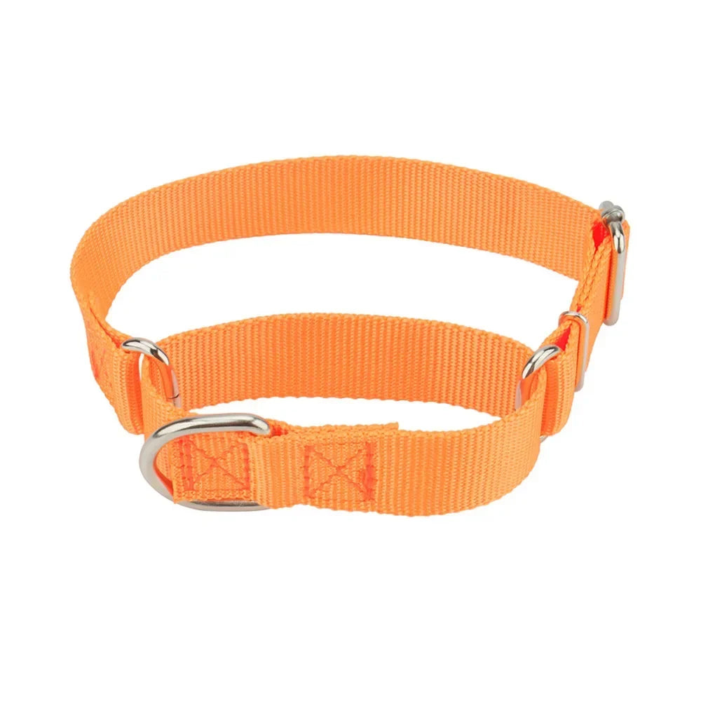 Martingale Collar for Dogs，Dog Collar with - ProPawPet.com