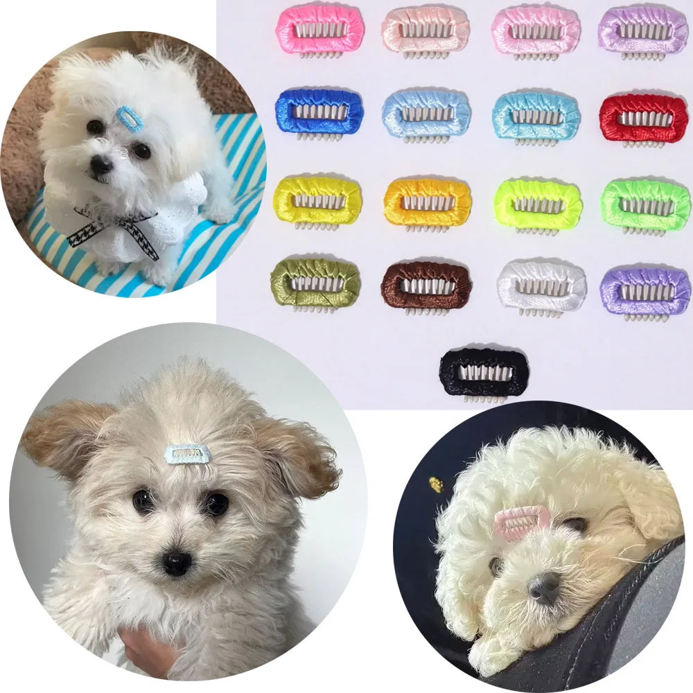 2.3cm Pet Fashion Hair Clip Mini Bb Clip Dog - ProPawPet.com