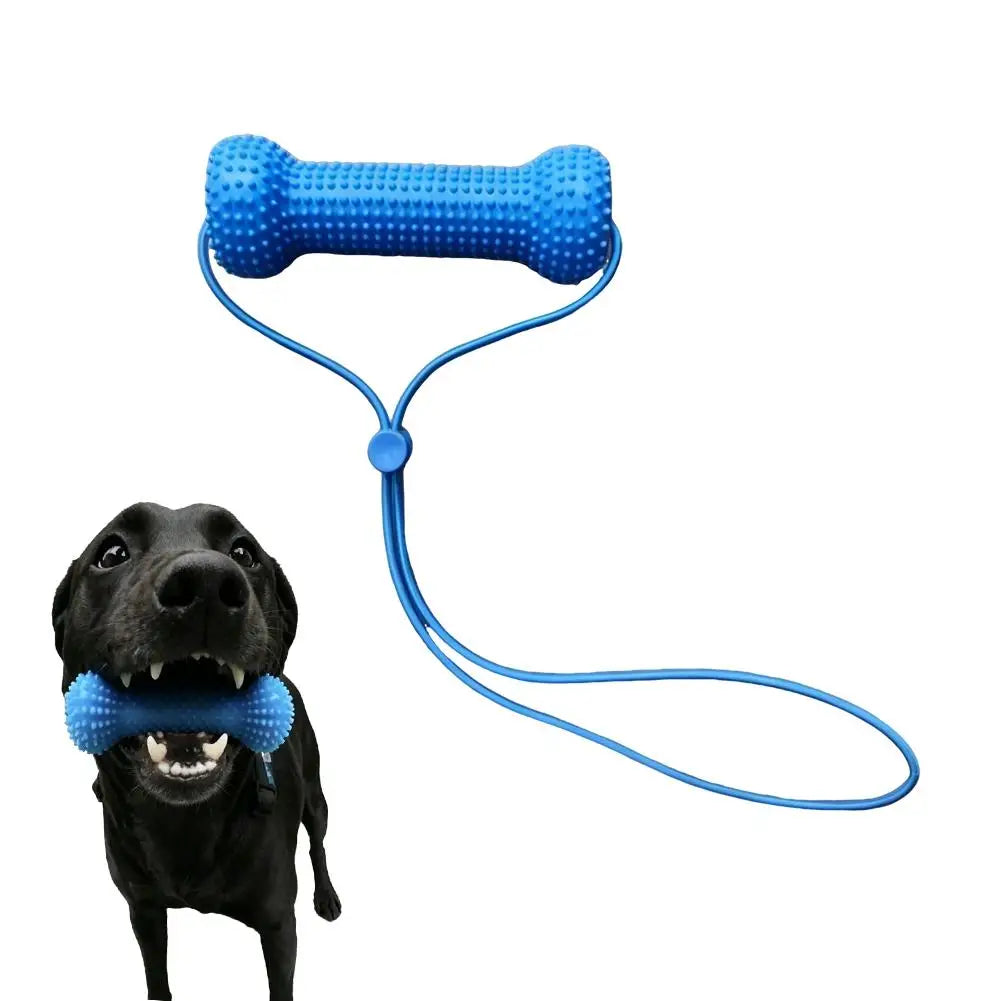 Dual-action Canine Dental Prop Reusable Chews – Dog Supplies