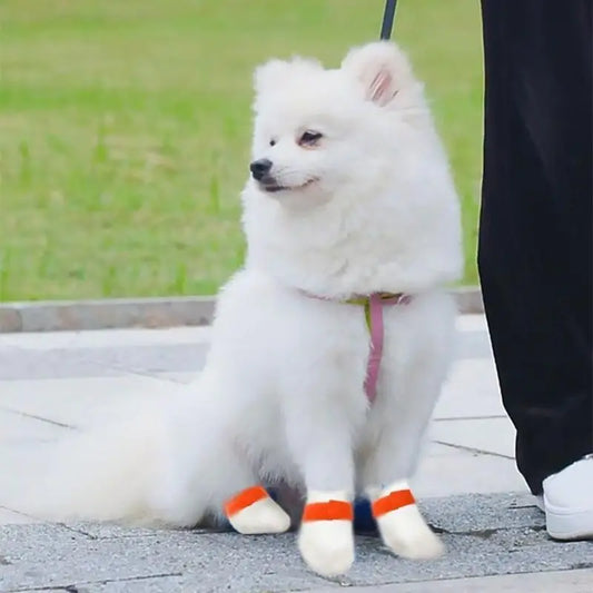Disposable Dog Boot for Paws Protections,Dog - ProPawPet.com