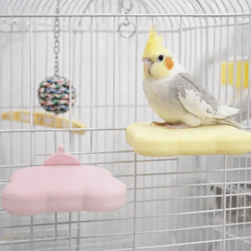 Detachable Pumice Parrot Stand Bite - ProPawPet.com