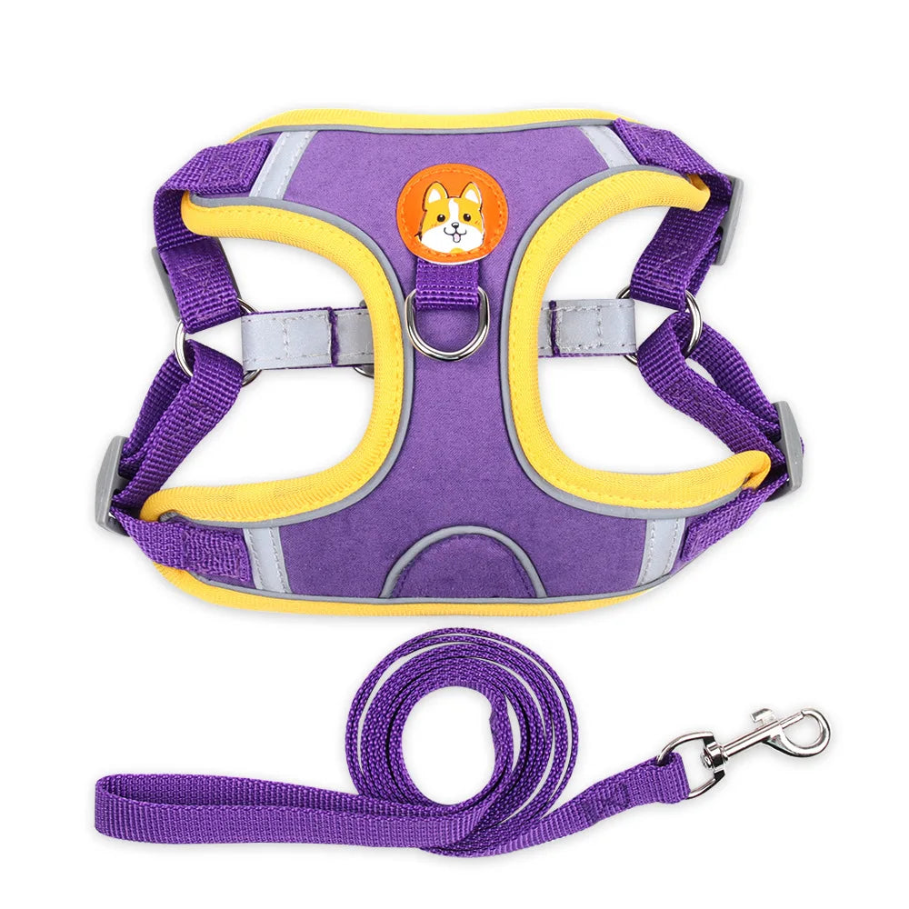 Cat Harness Small Dog Leash Pomeranian Puppy - ProPawPet.com