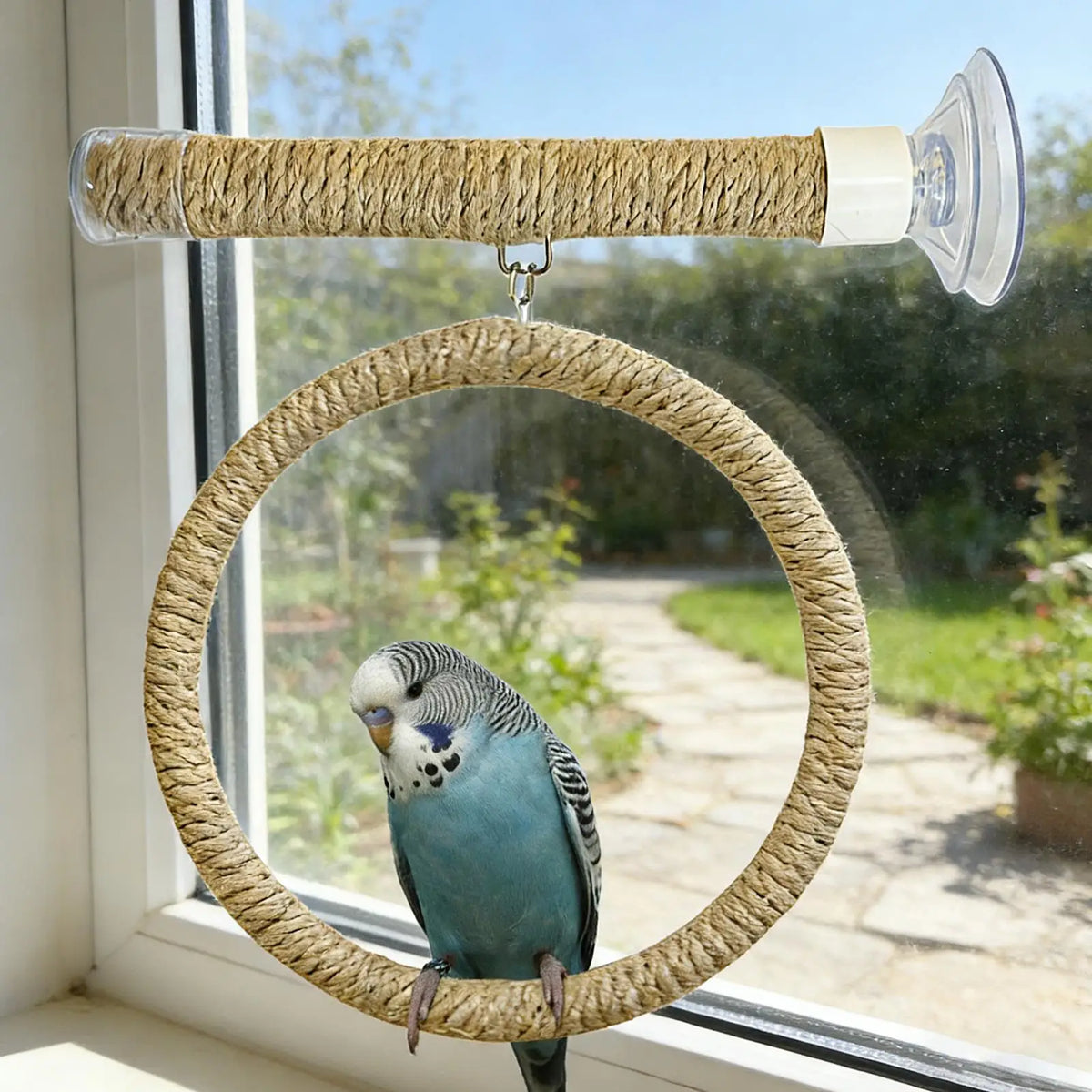 Suction Cup Bird Toy Swing Set Linen Rope - ProPawPet.com