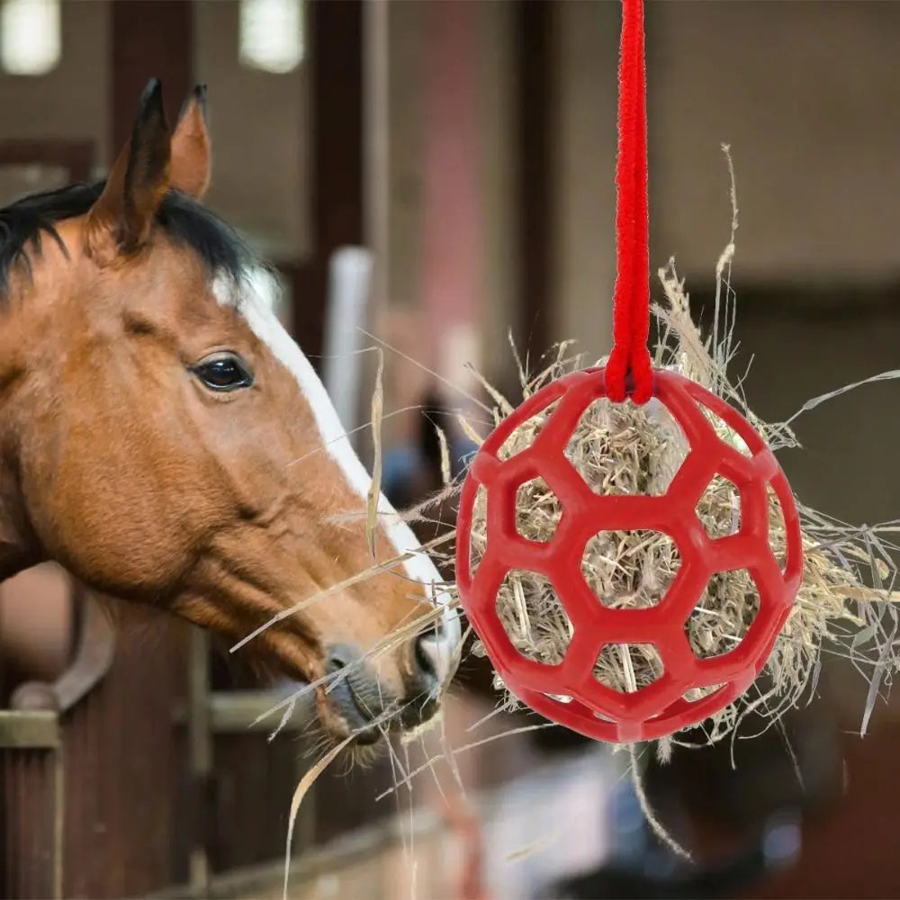 TPR Horse Treat Ball Red/Blue/Green 5.5inch - ProPawPet.com