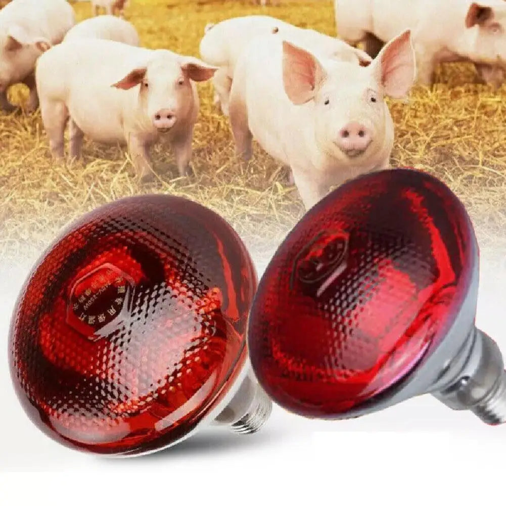 100w 150w 175w 200w 250w 275w Pet Red - ProPawPet.com