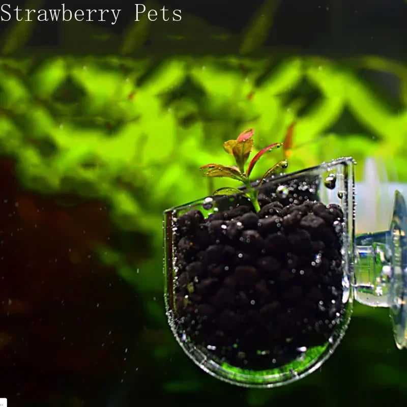 Aquarium Decoration Hanging Fish Tank Mini - ProPawPet.com