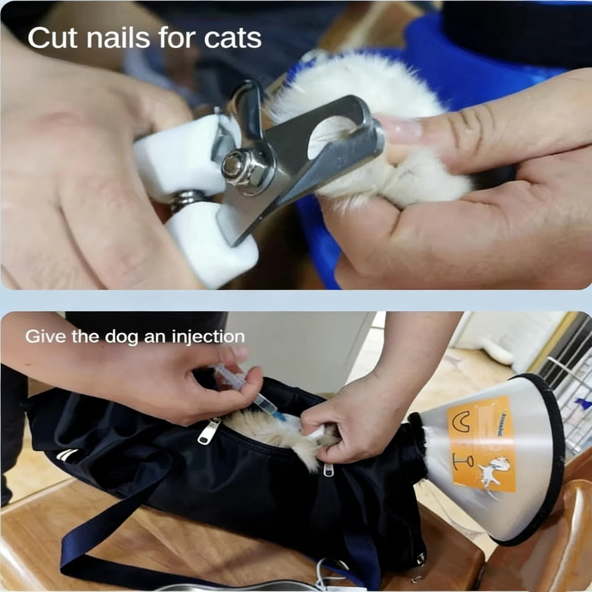 Restraint Fixed Trimming Nail Pet Supplies - ProPawPet.com