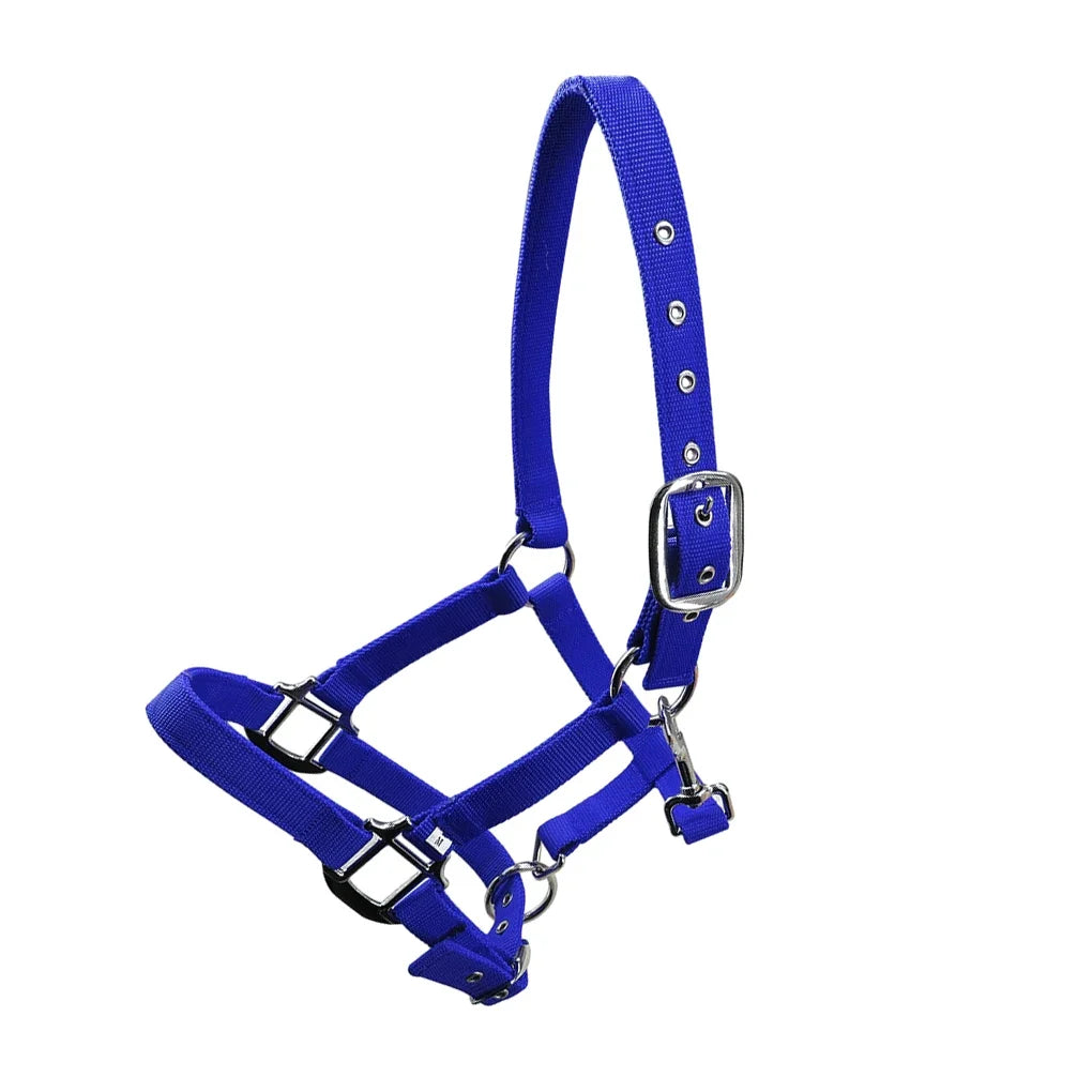 Padded Halter Pony Bridle Head Collar - ProPawPet.com