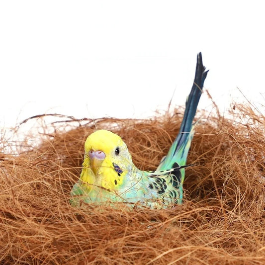 100/200g Coconut Fiber Nesting Material Nest - ProPawPet.com