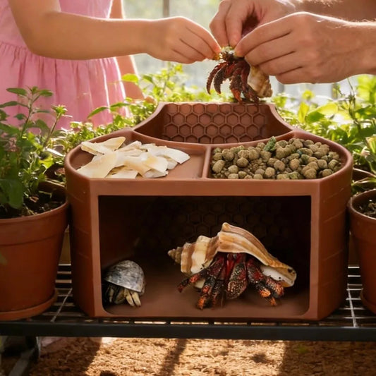 Double Food Dish Hermit Crab Tunnel Shelter - ProPawPet.com