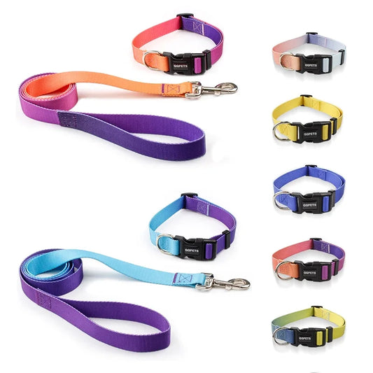 Nylon Adjustable Dog Collar Leash Lead Pet - ProPawPet.com