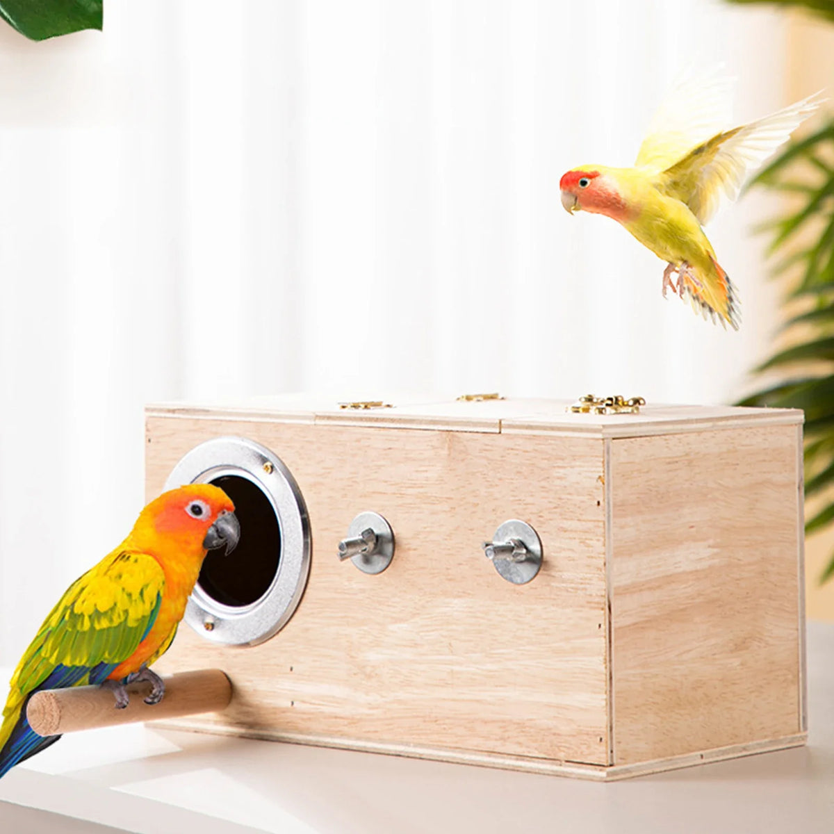 Outdoor Birdhouse Birds Box Nesting Hatching - ProPawPet.com