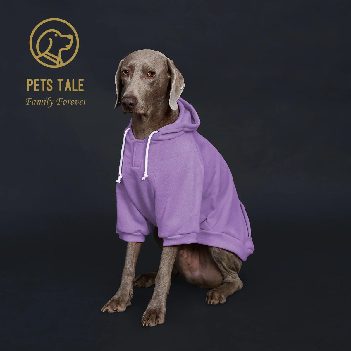 Solid Color Dog Hoodie with Pocket, Leather - ProPawPet.com