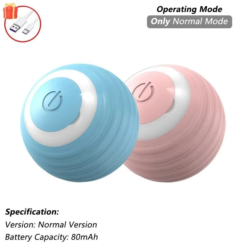Indoor Interactive Birds Toy for Cat Chasing - ProPawPet.com