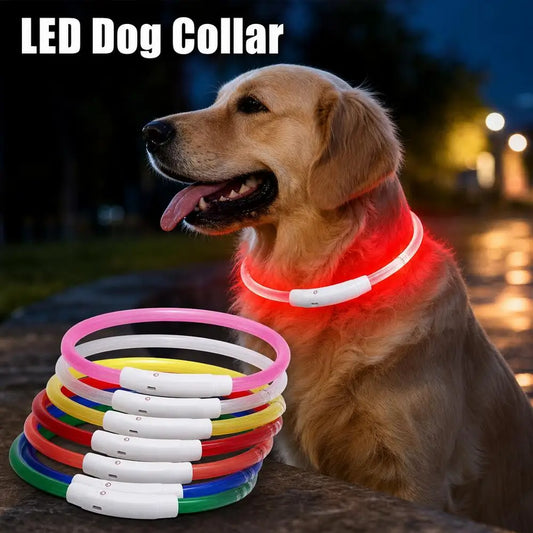 Luminous Pet Dog Collar Waterproof LED Dog - ProPawPet.com