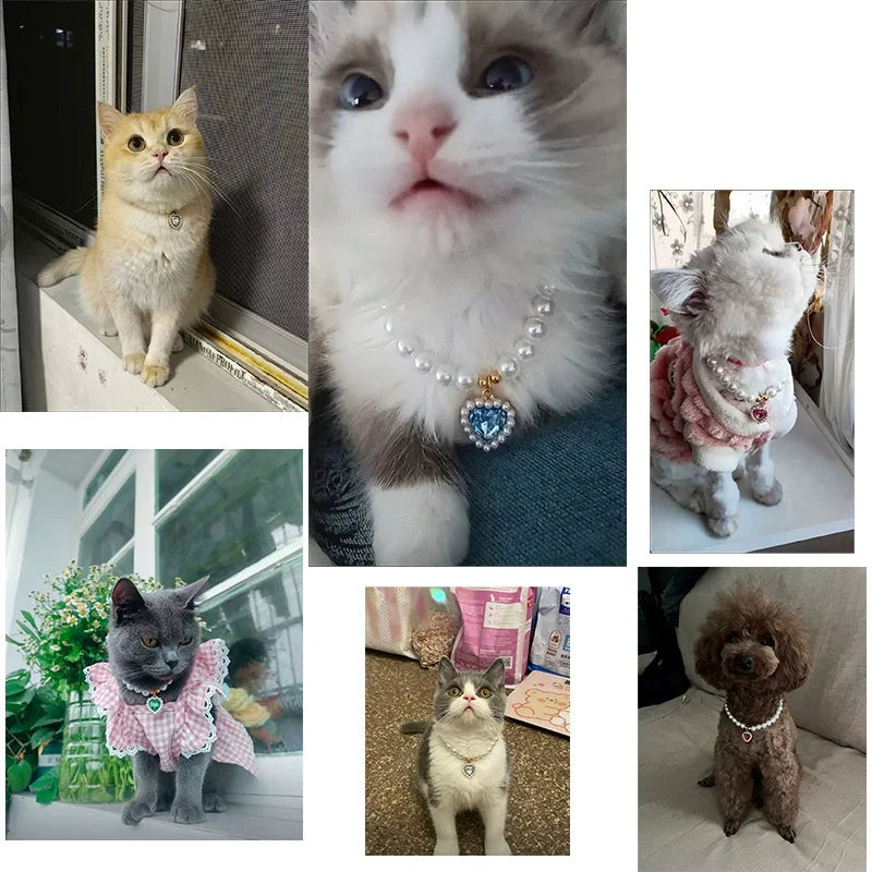 Pet Rhinestone Collar Adjustable Cat - ProPawPet.com