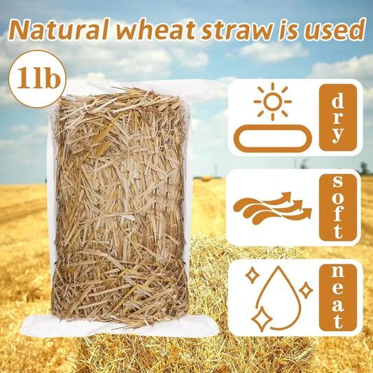 1LB Natural Wheat Straw Dry Mulch for Garden - ProPawPet.com
