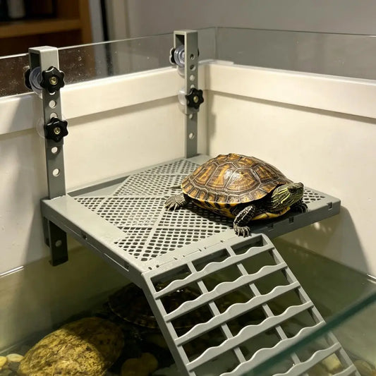 1P Solid Form Hanging Turtle Basking - ProPawPet.com