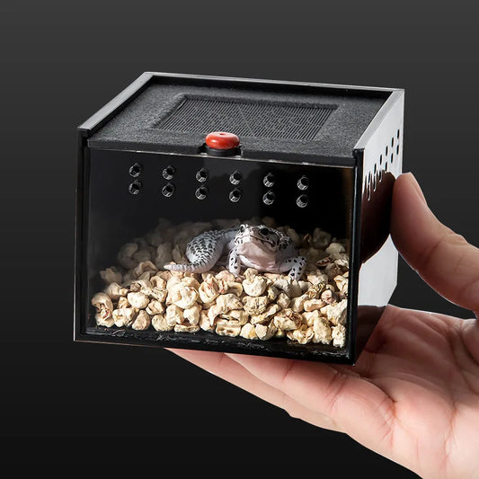 Pet Spider Box Reptile Crawling Pet Feeding - ProPawPet.com