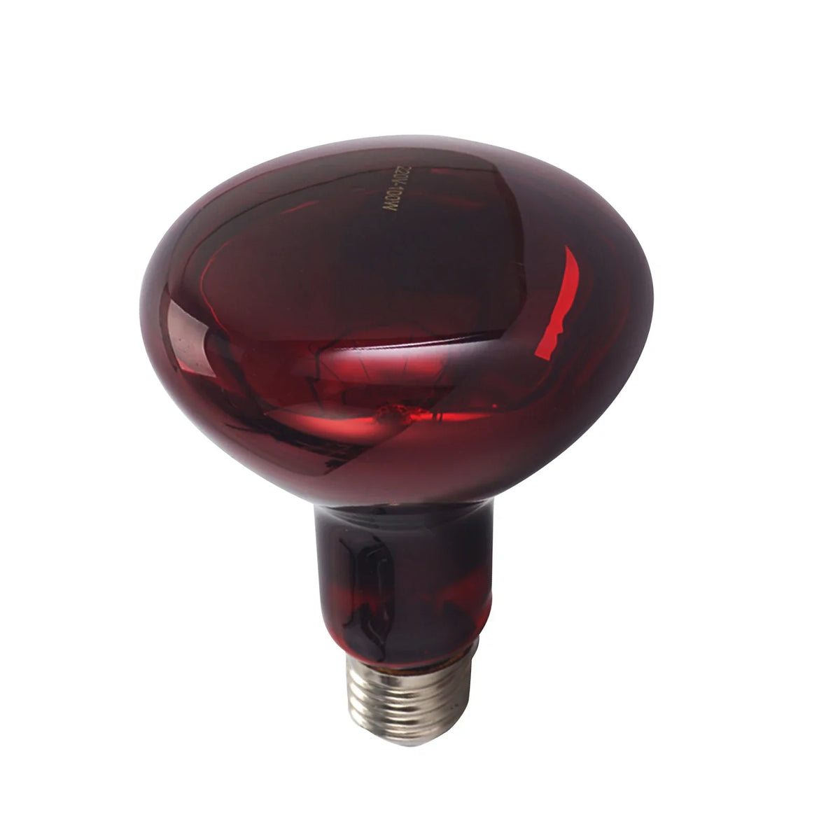 E27 Reptile Heating Bulb Warmer Heat Lamp - ProPawPet.com