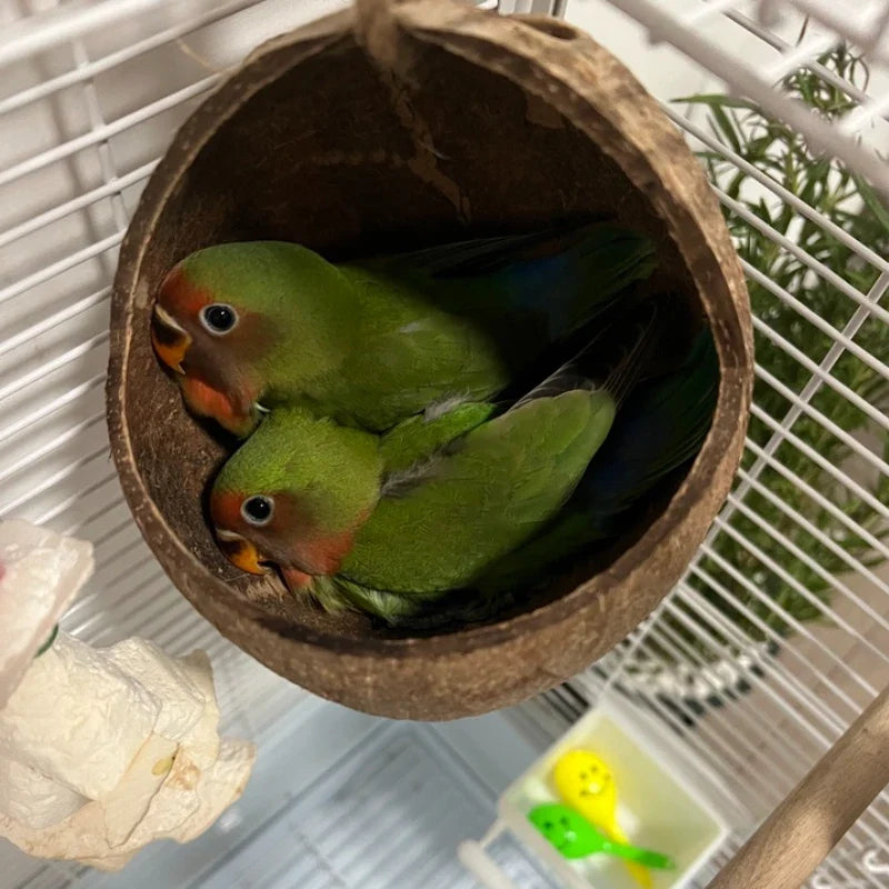 Winter Pet Bird Breeding Nest Coconut House - ProPawPet.com
