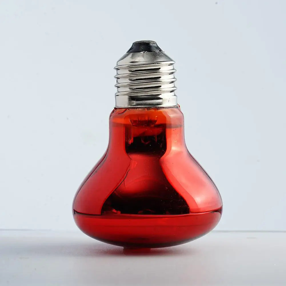 25W-100W E27 Pet Red Heating Lamp Day Night - ProPawPet.com