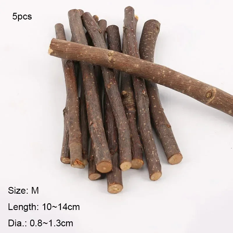 Chew Stick Apple Tree – Bird Supplies