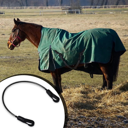 Stretchy Straps Horse Blanket Straps Double - ProPawPet.com