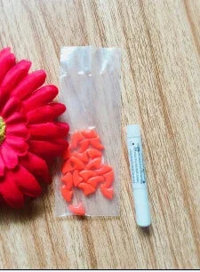 20 Pcs/Lot Pet Dog Finger Grooming Floor - ProPawPet.com