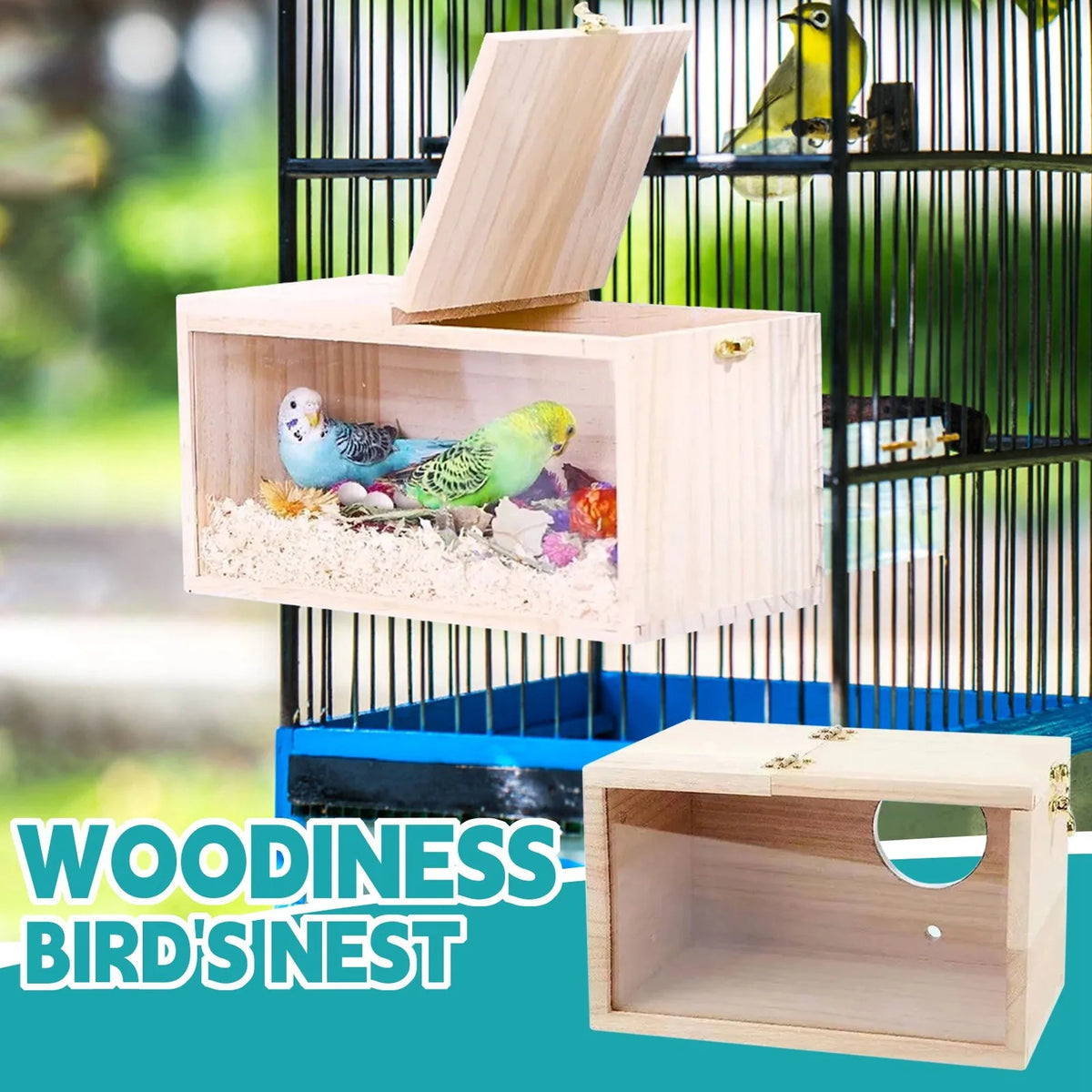 Transparent Design Parakeet Cockatiel Bird - ProPawPet.com